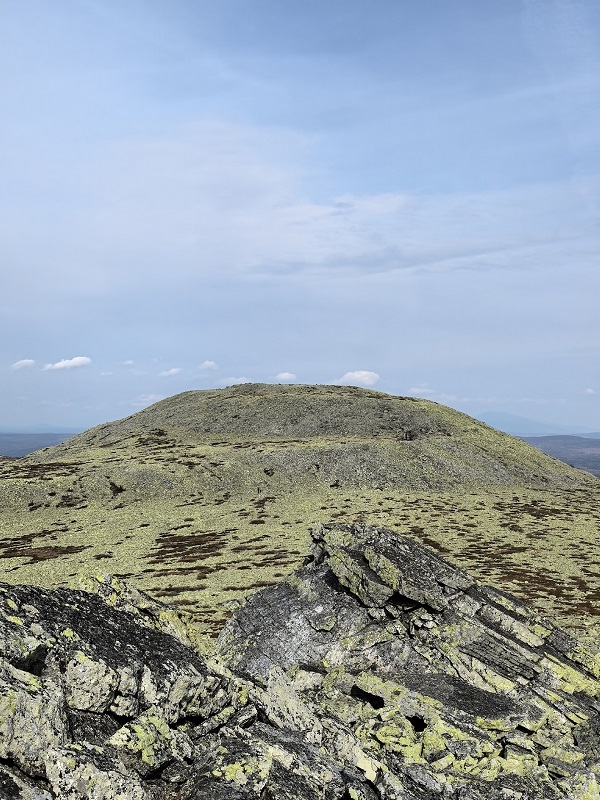 ���� �������. ����: ������� ����������