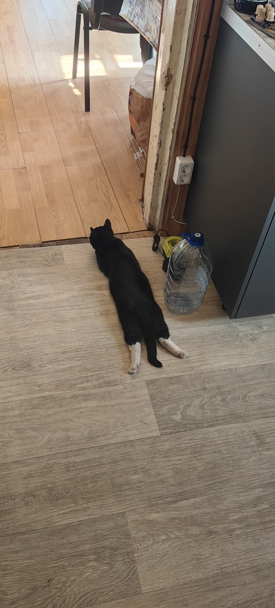 ����� �� ���� ���� ������ ���������� ����