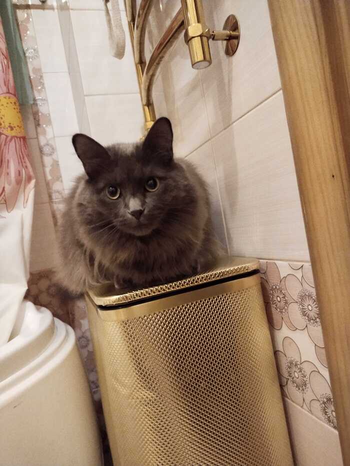 ����� �� ���� ���� ������ ���������� ����