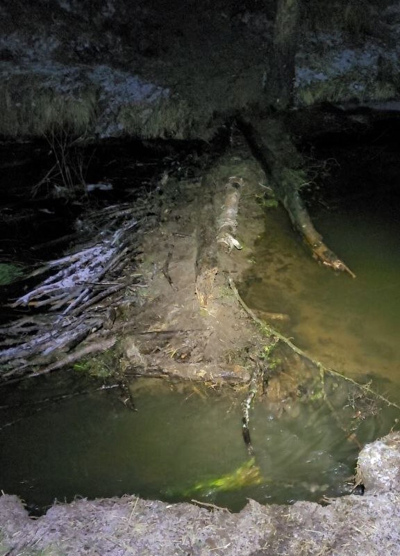 * ���� ������ ���������� �� �������������� ����