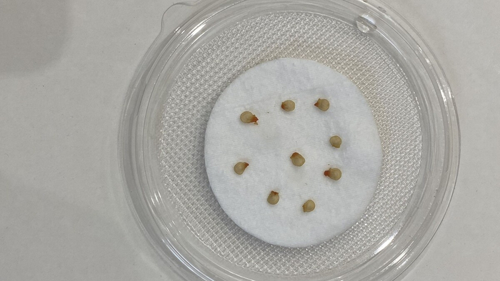 �������� ��������� �������