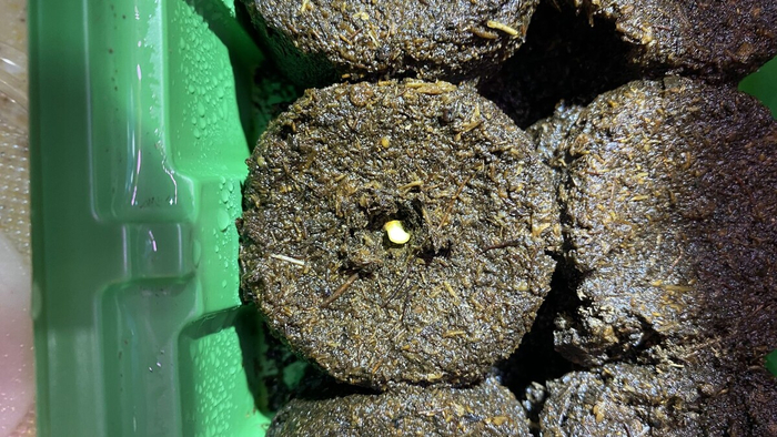 ������� � �����