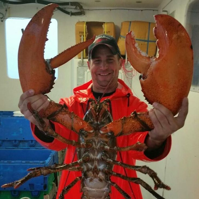 Обратите внимание. Рука справа — дробящая. Слева — режущая.