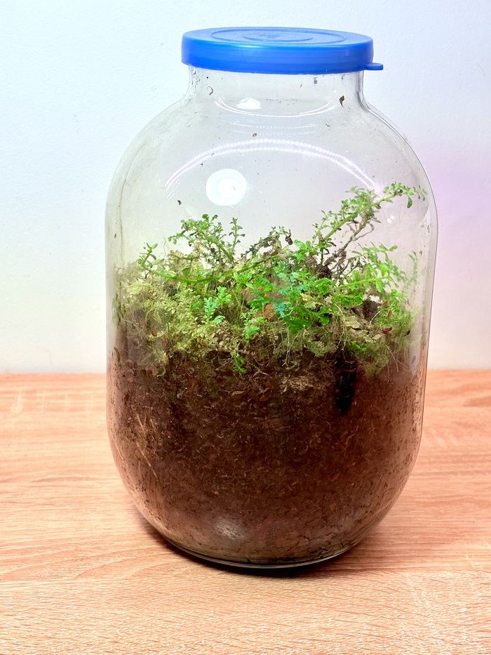 Виновник торжества