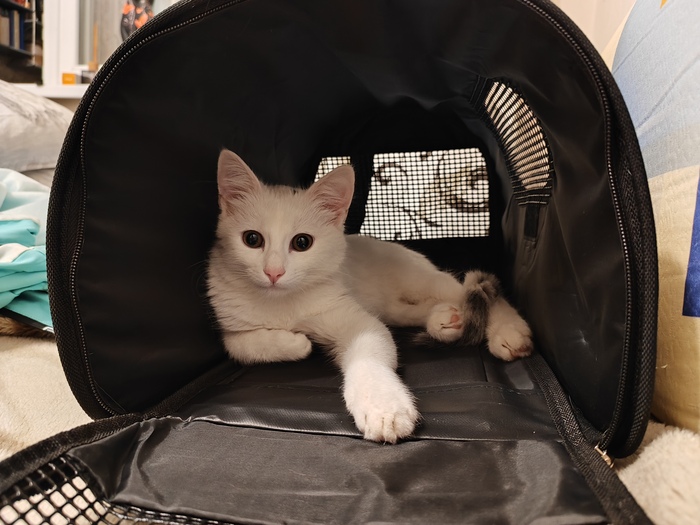 ����� �� ���� �������� �� 0 �� 10�