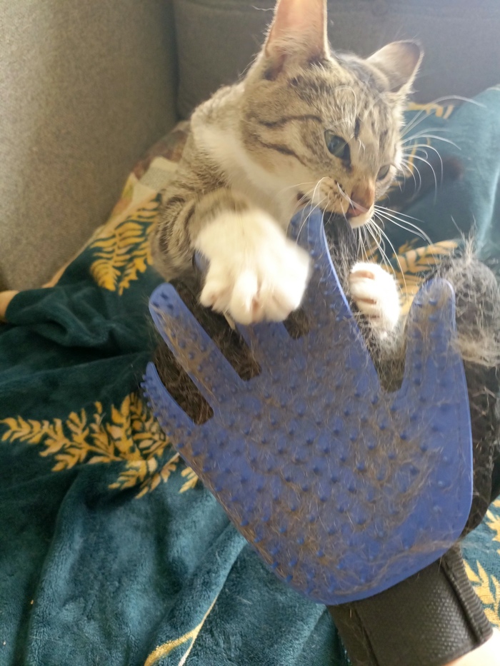 ��� ��! �������� �������!