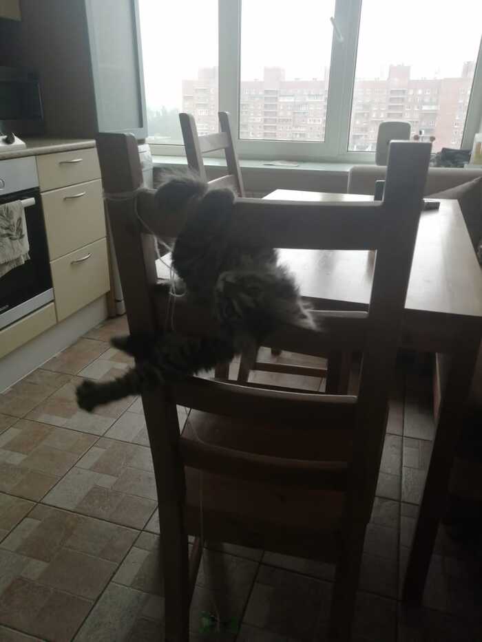 ����� �� ���� �������� �� 0 �� 10�