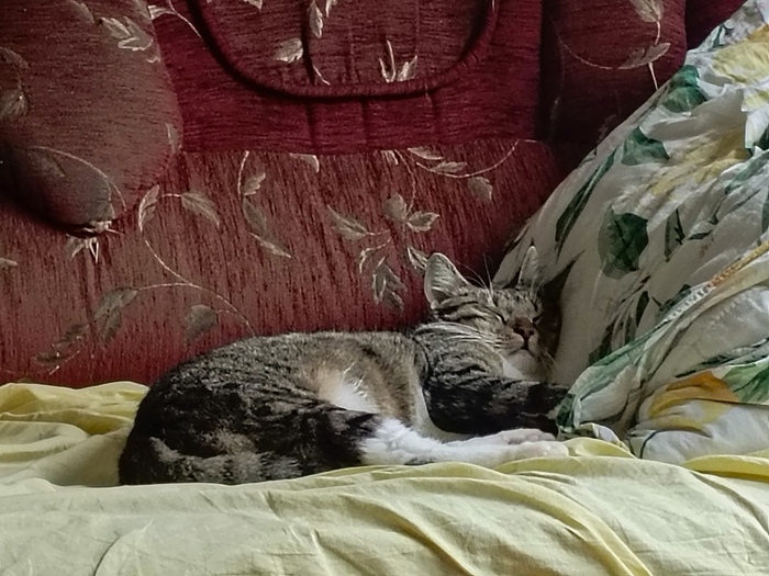 ������� � ���, ��� � ������� ��������