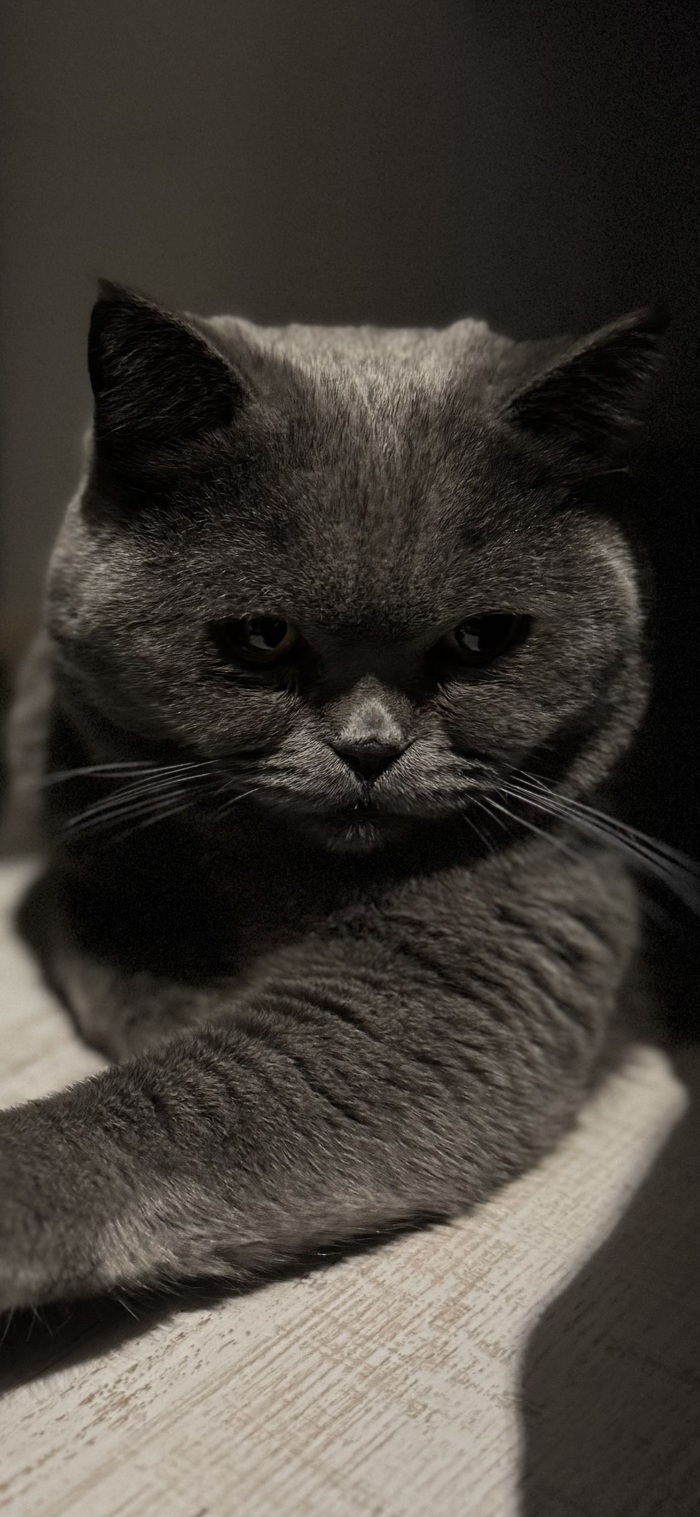 ��������� �� ����� ����, ��� ��� ��� ������� � ���������. ������� ��� �������. �� ������ �������� ������ �� �������� �� ������