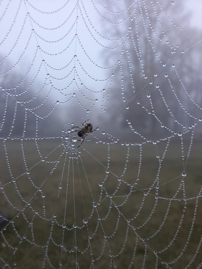 ����� �� ���� ������� ���� 2025 ����