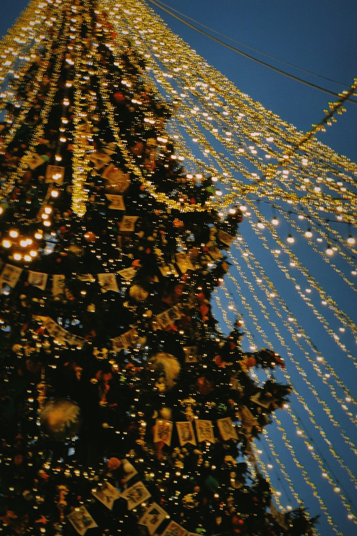 А вот вам немного новогоднего настроения