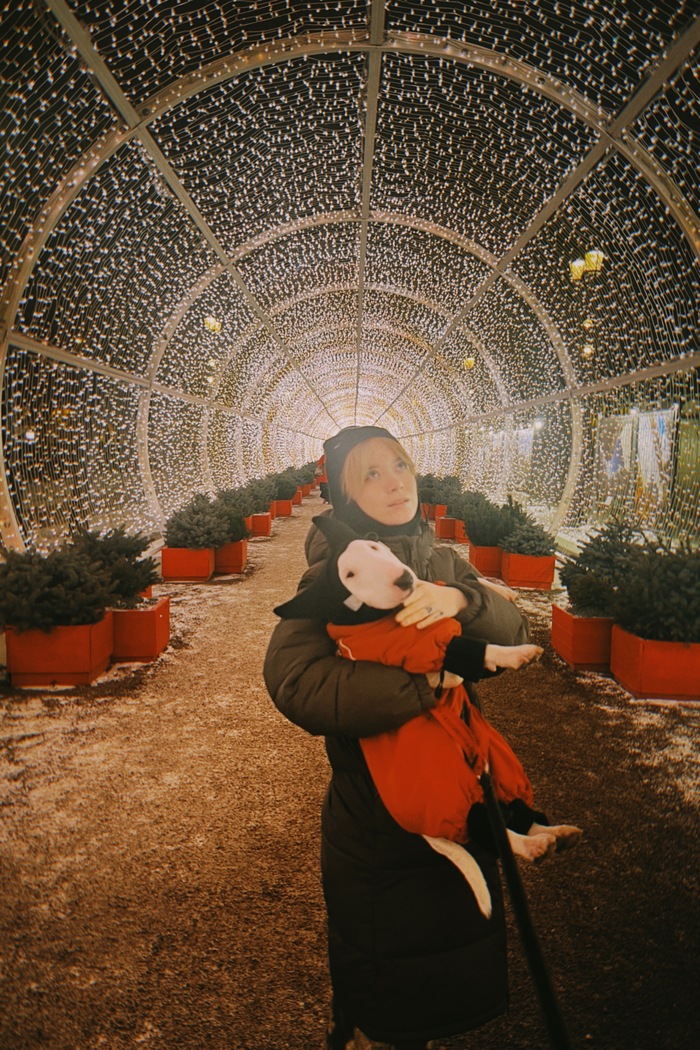 Любуемся Собянинской иллюминацией! В этом году новогодняя Москва еще краше)