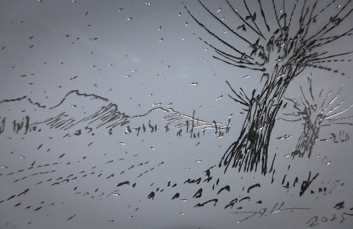 Гравированный рисунок