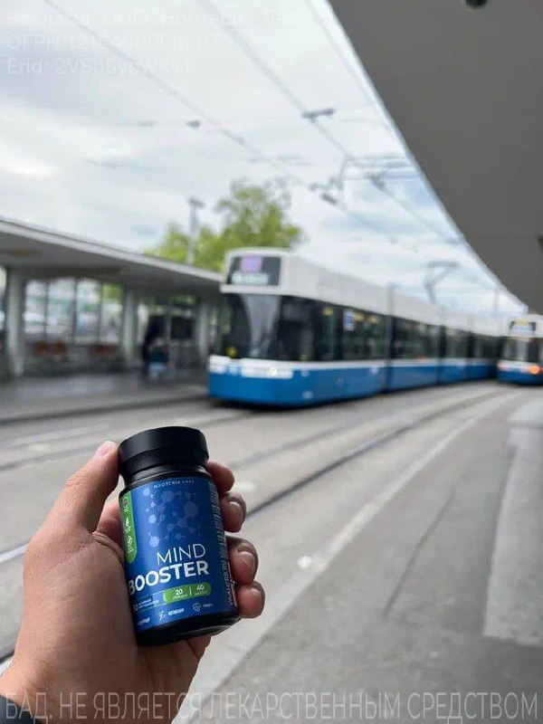 Задача - дожить до Нового года