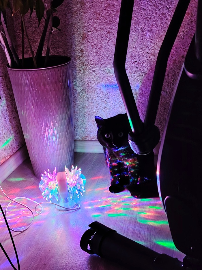 ����� �� ���� ������ �� ���� "��� ������ ���������� ����"�