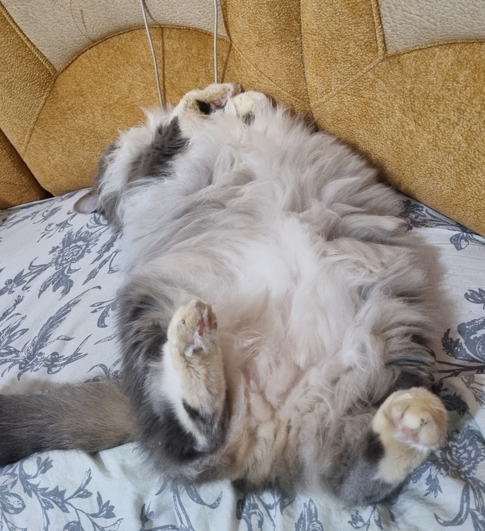 �������� ������������