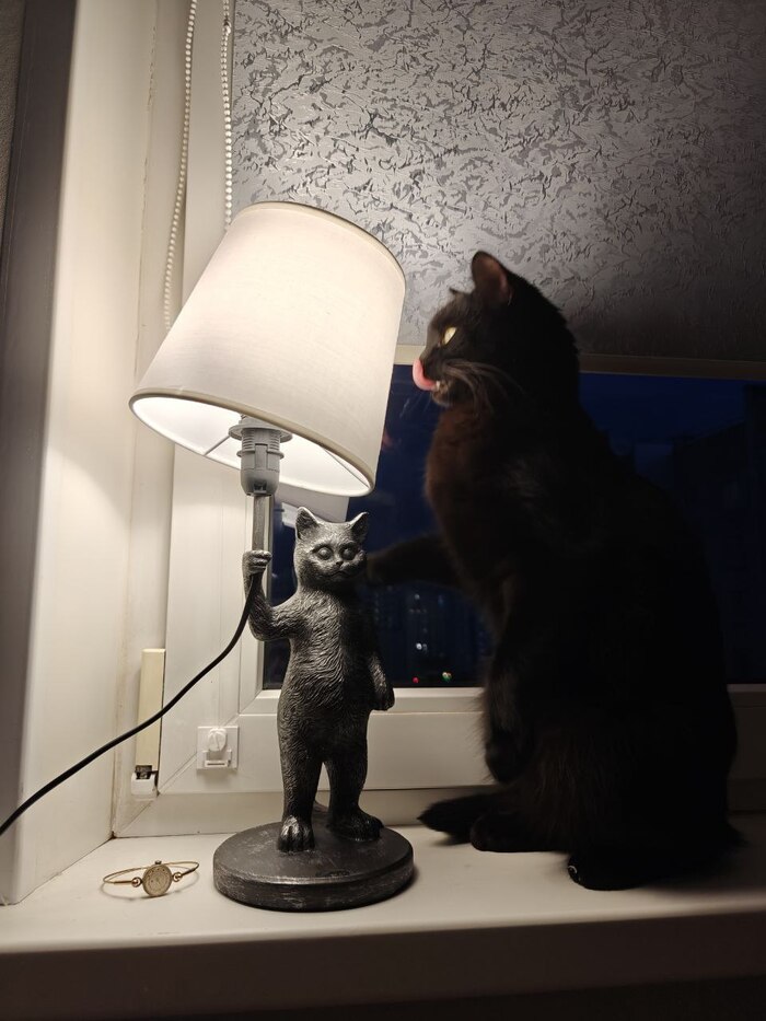 ��� ��� ����� ����� �����������, ��� ��� � ��� ���������