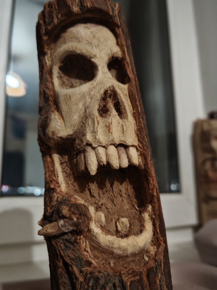 Нижний центральный зуб выпал в процессе. Приклеил обратно на ПВА