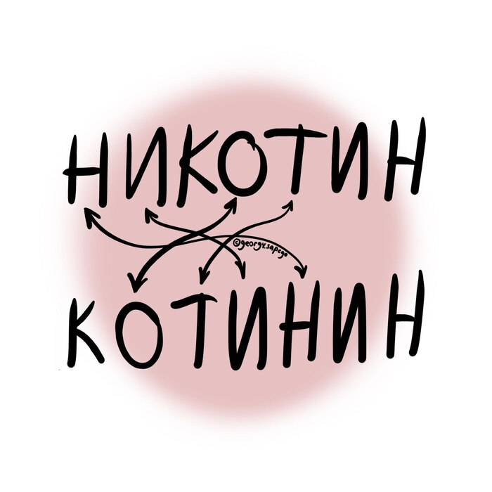 ����������� � ���� ������ "������� ������� ��������"