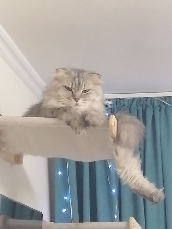 Ответ на пост «Раз все постят то и я»