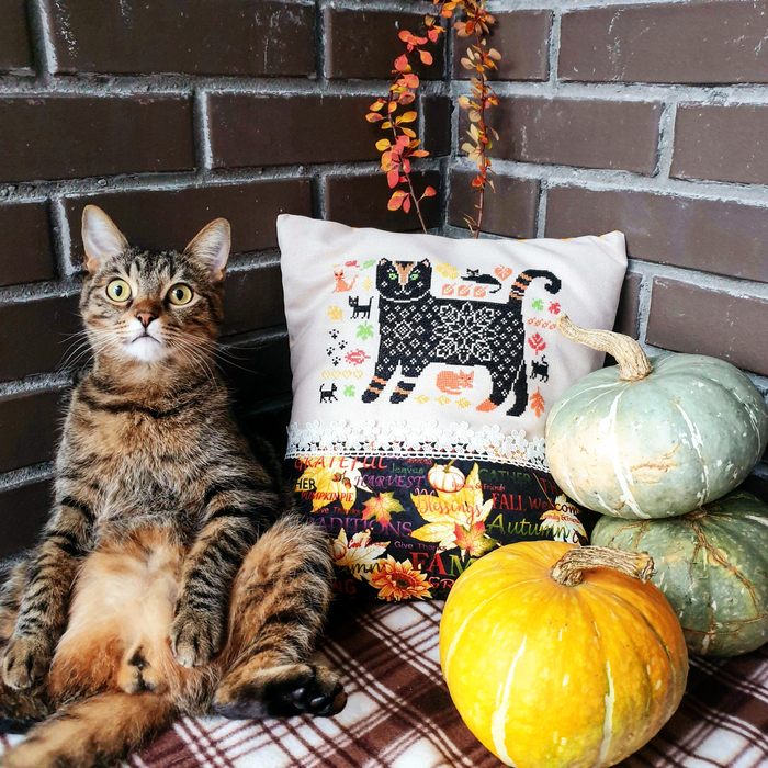 Ответ на пост «Моя лучшая фотография кота»