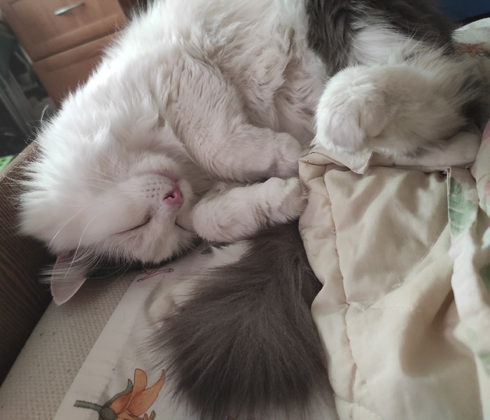 Вы там работайте, а я посплю пока.