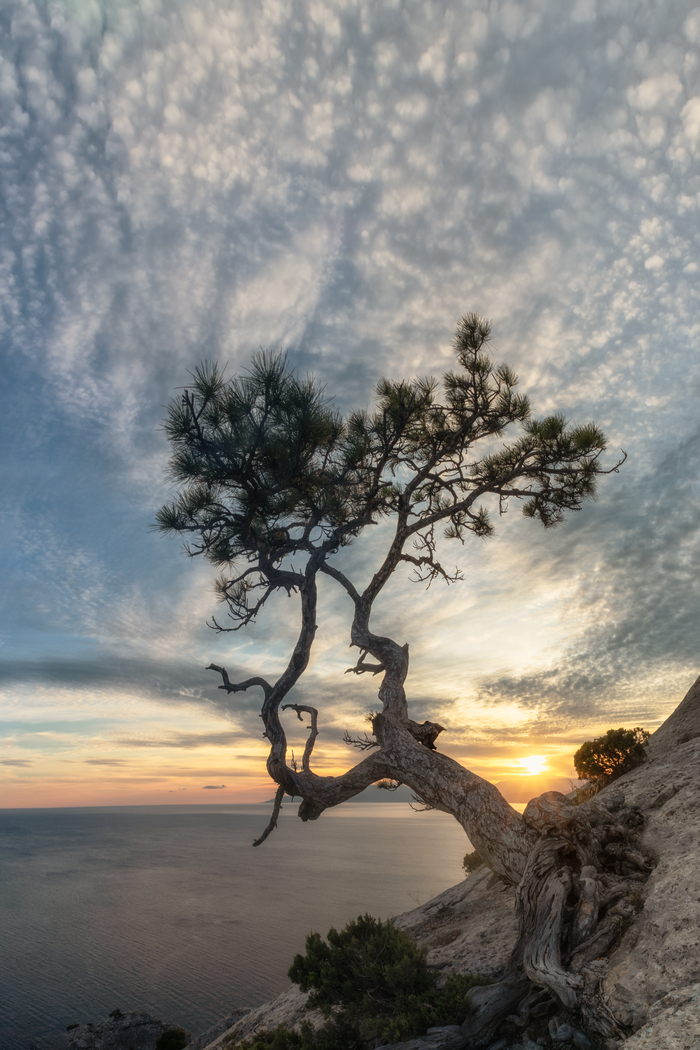 Любимая модель