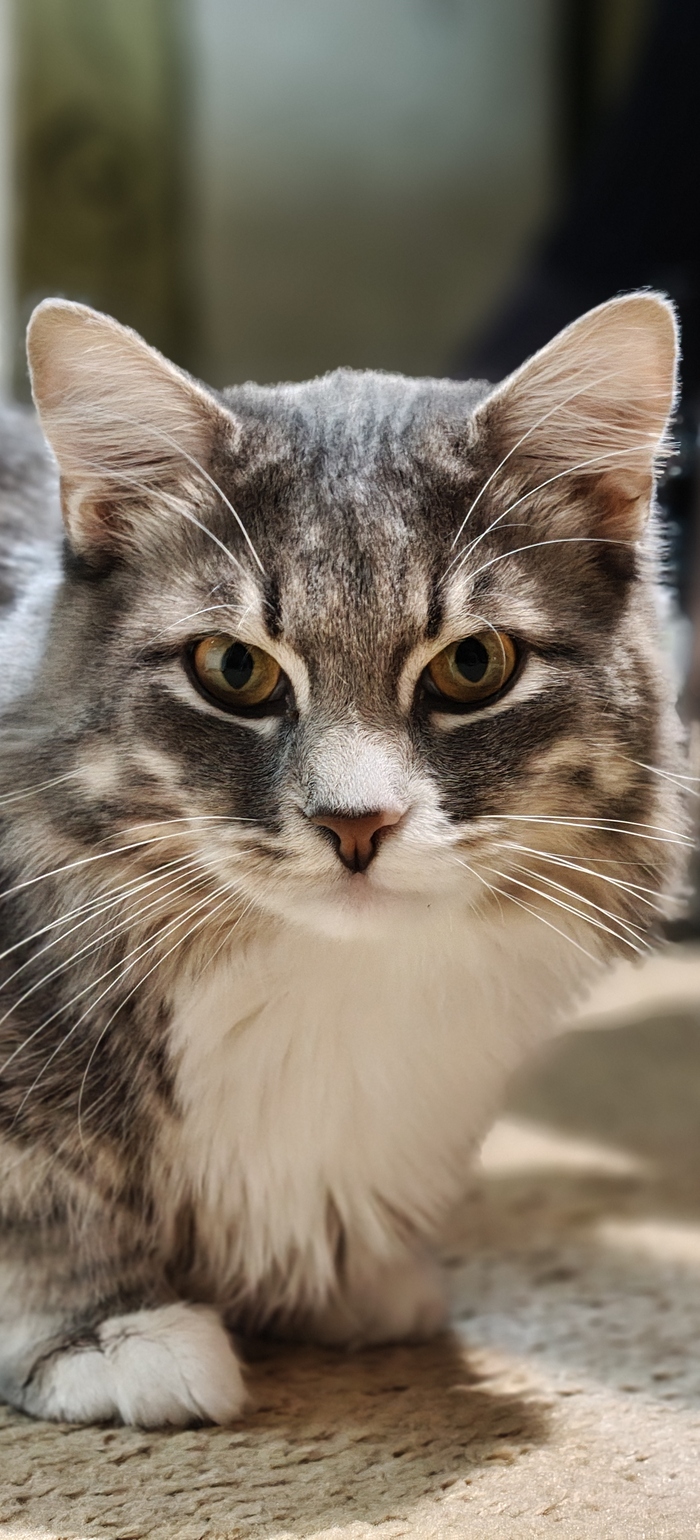 Ответ на пост «Оцените от 0 до 10»