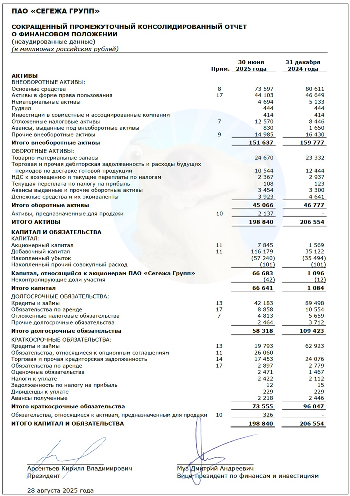 Источник: отчет ПАО «Сегежа» по МСФО за 6 мес. 2025