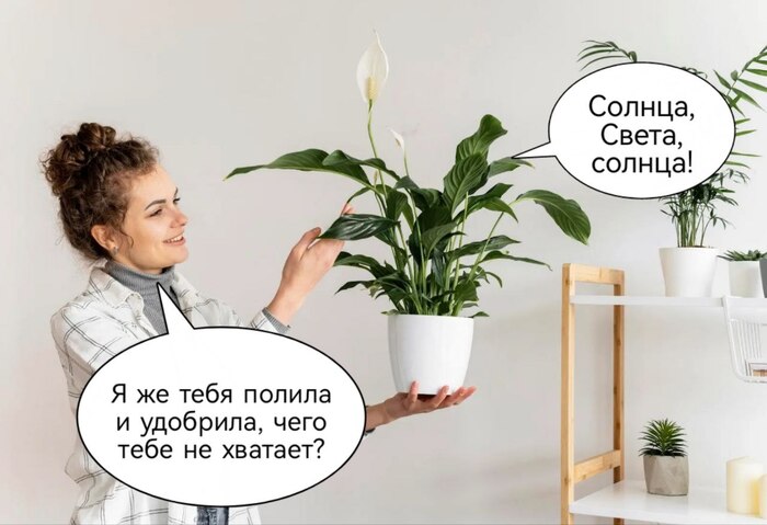 ��� ��������� �� ������� �����: 4 ������