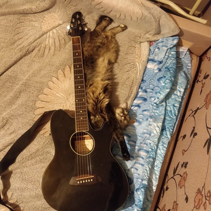 ������ ���� ����� ����