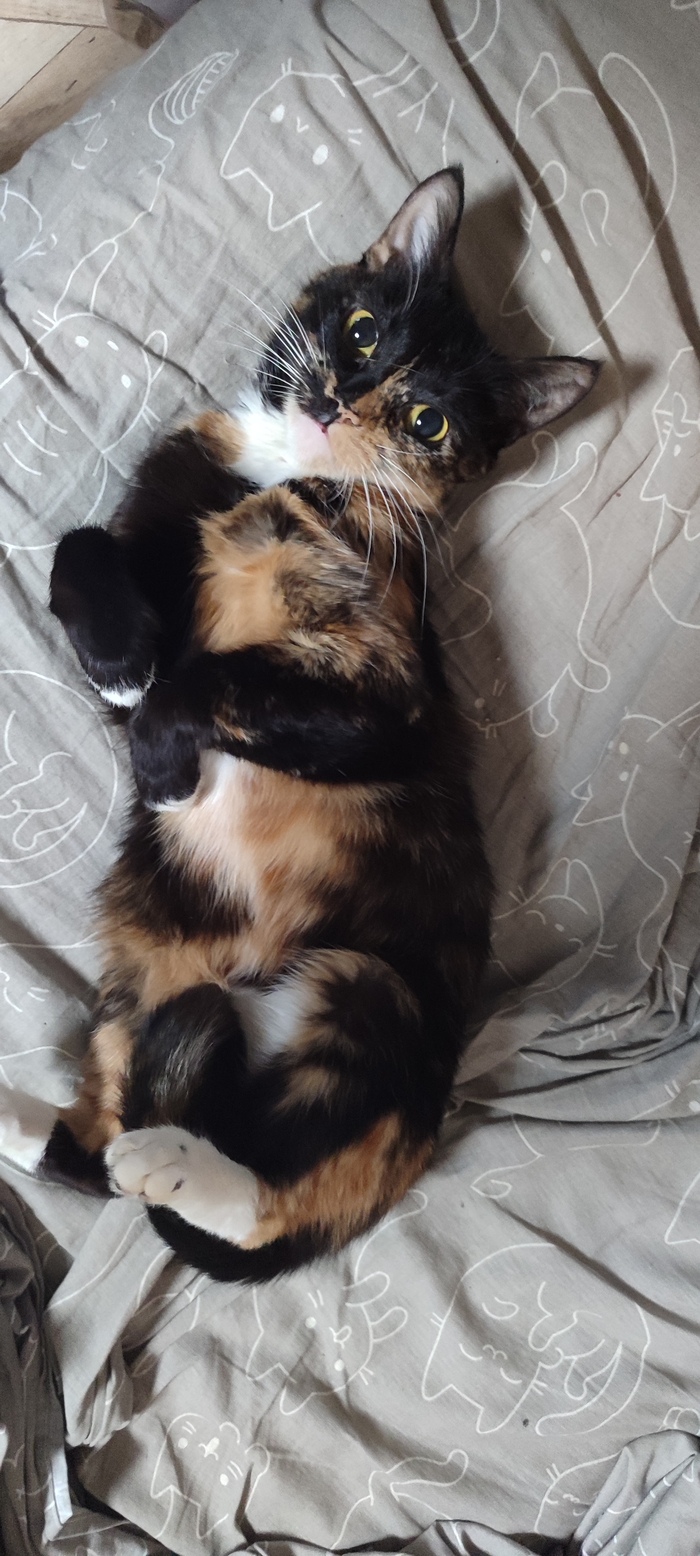 Ответ на пост «Оцените от 0 до 10»