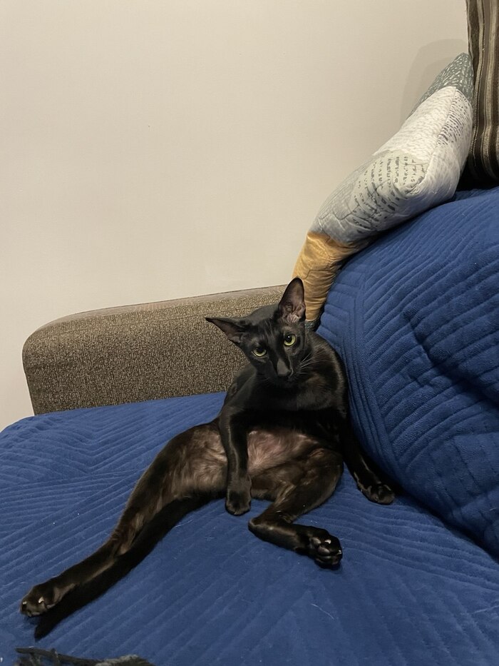 Ну давай рассказывай, какие у тебя проблемы)