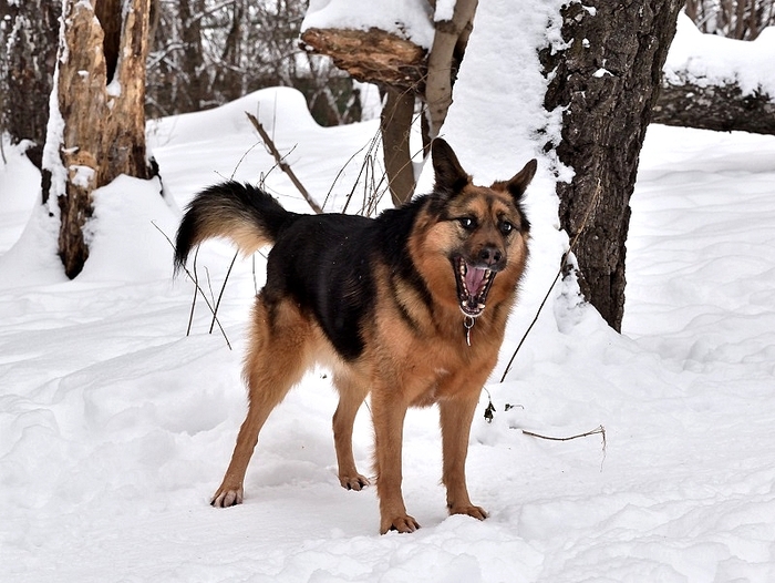 Дэя - оторва