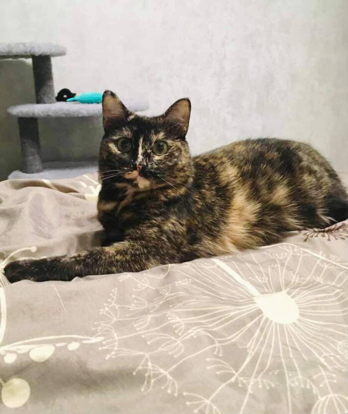 ������� �������� ���� ���!