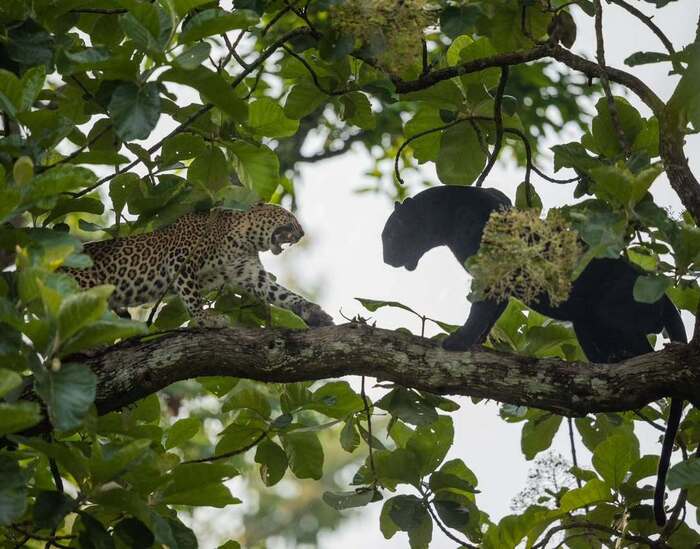 ��������� � ������