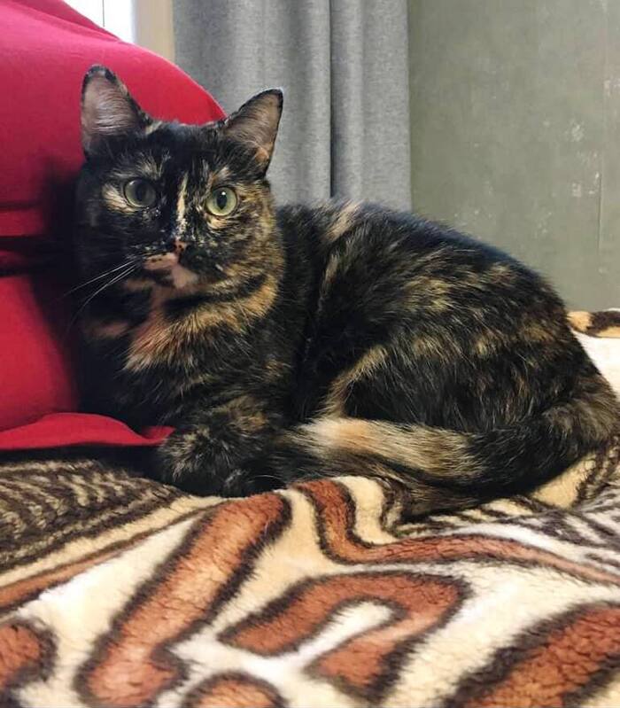 ������� �������� ���� ���!