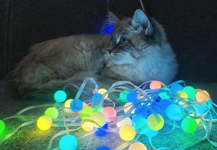 ��������� ���������� �����