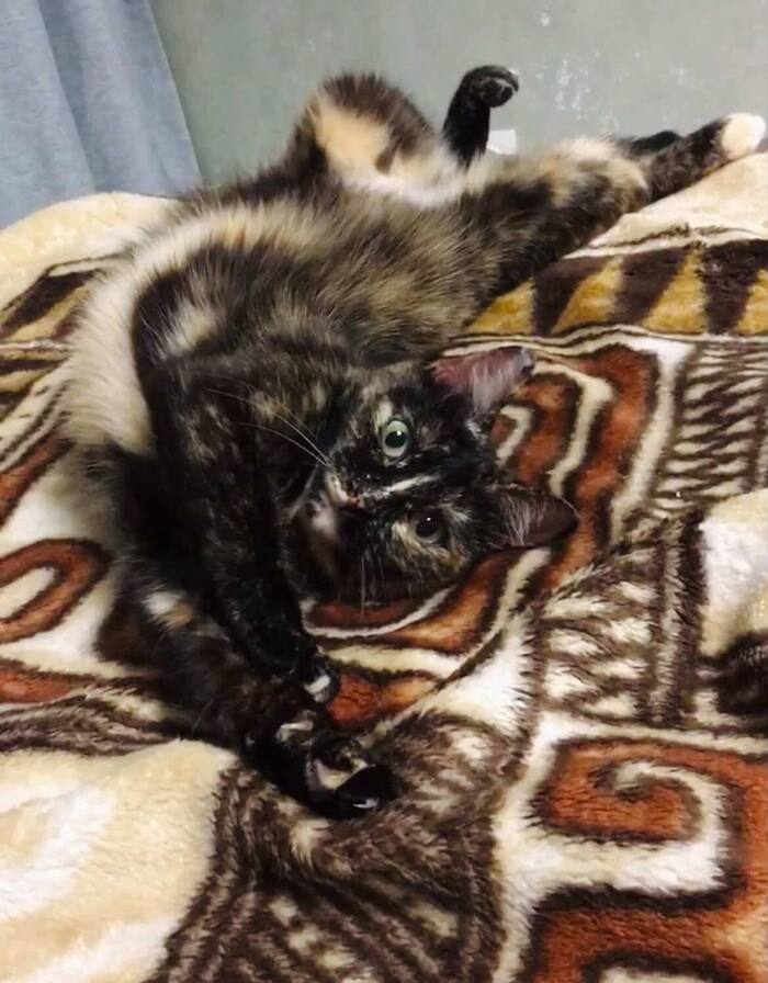 ������� �������� ���� ���!