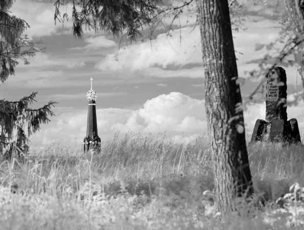 ����� ����������� �����, ������������ ���� ������ ��������