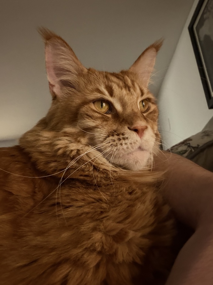 ���������. ���� ��������. 4 ����