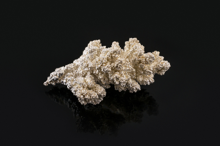 Серебряный дендрит