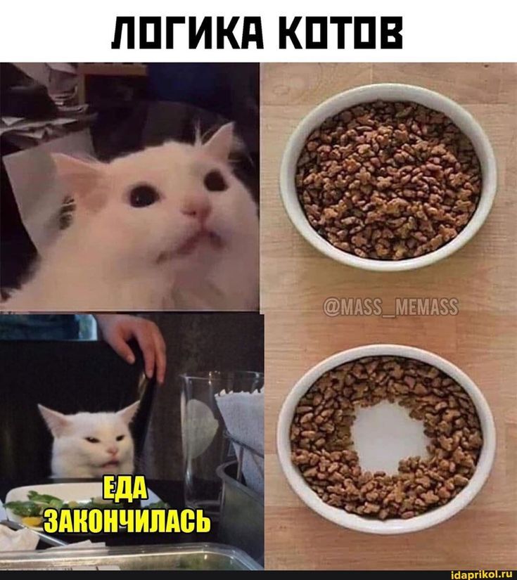 af6sjms5_lg.jpg