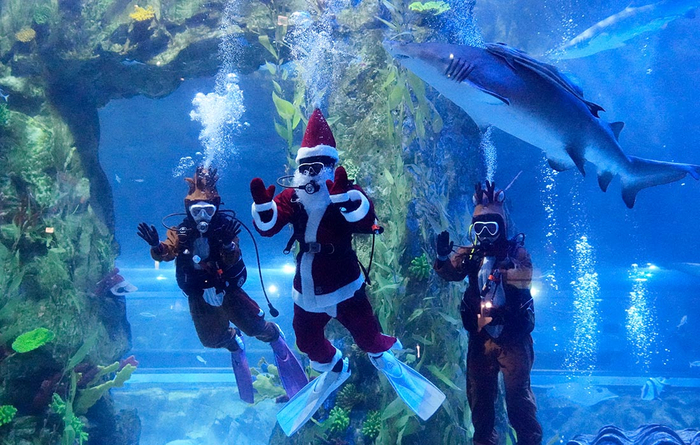 ������ � ������� �����-������ � ��������� � �����//����: AP/����