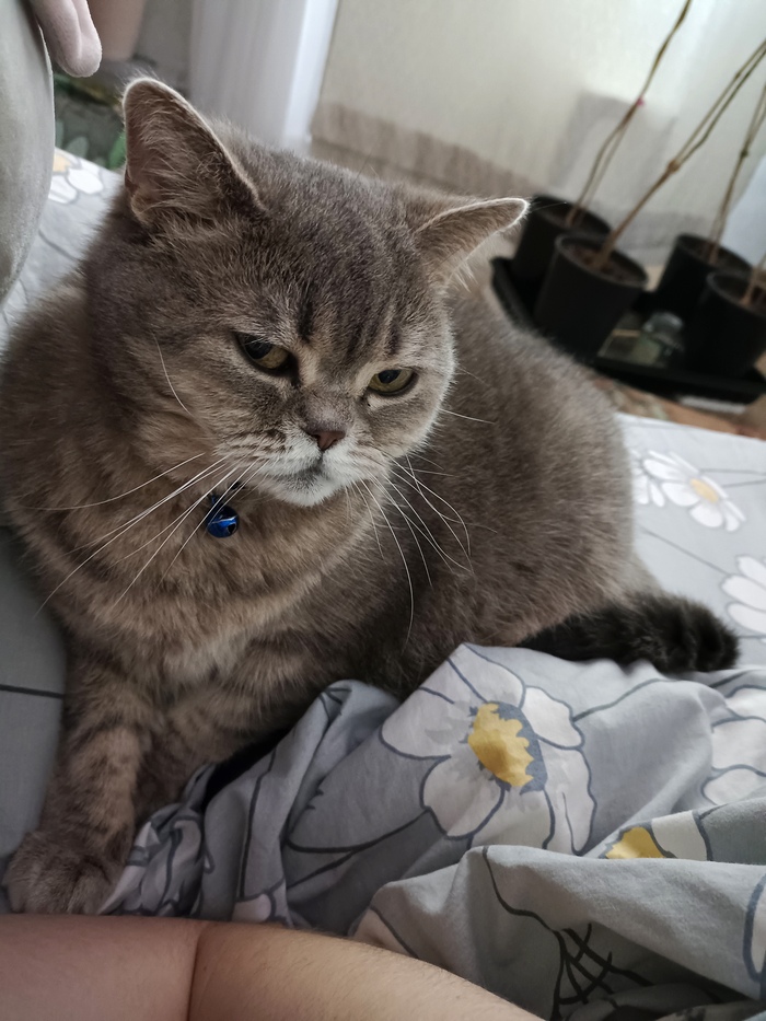 �������� ������ - ������ � ������� ����� ��������