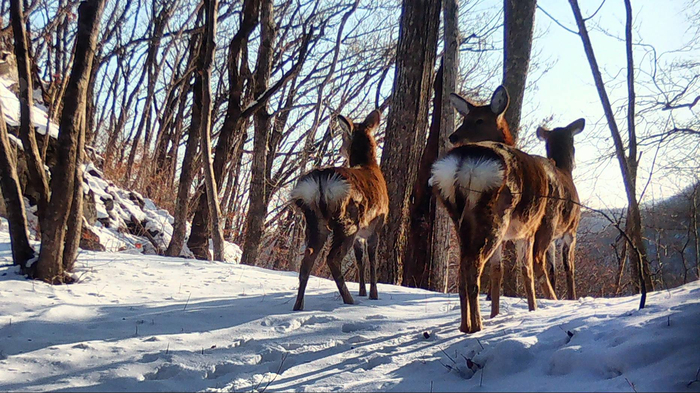 �� ����� �������� 