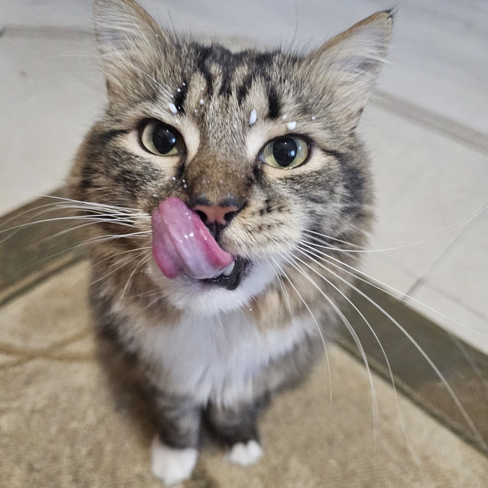 ����� �������!)