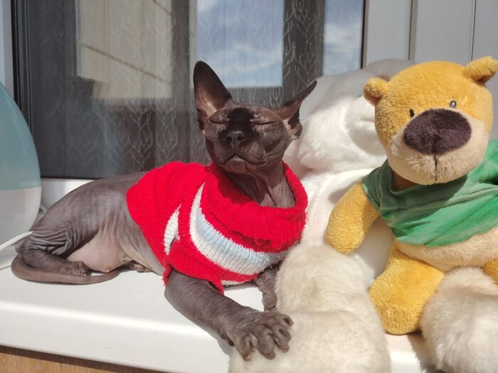 ��� ������ ���������� �����