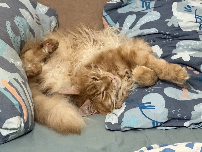 ����� �� ���� ���� ������ ���������� ����