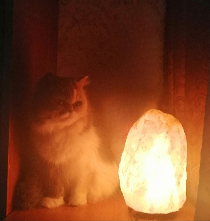 ���������� ���� ������� (�� ������, �� ���� �� �������)